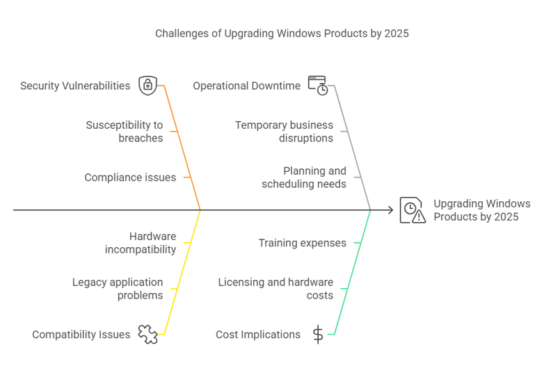 A diagram of a company
Description automatically generated